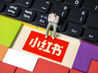 做小红书不知道选择什么领域比较好？教你快速找到适合自己的赛道