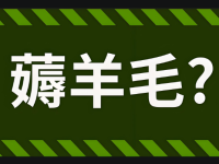 直播间粉丝总是薅羊毛怎么办？