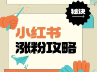 在小红书上，新人写这3类内容可以快速涨粉