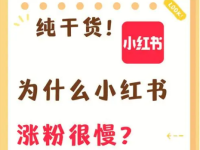 小红书个人主页怎么做才能吸引人关注？
