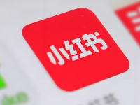 你的小红书为什么没做起来？4个原因