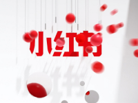 如何在小红书进行推广？小红书广告投放形式有哪些？