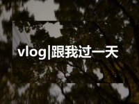 抖音vlog日常怎么拍？vlog拍什么内容比较火？