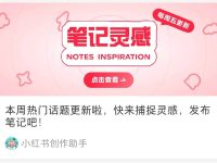 小红书笔记怎么写点赞最多？记住这3点