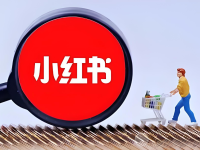 小红书的粉丝数量有没有用？