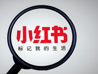 新手如何从零开始做小红书？我的经验分享！