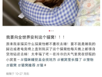 小红书种草新玩法，几乎所有领域都能用！