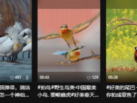 视频号做二次剪辑怎么做到原创，永不过时的方法！