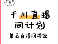 单品直播间千川投流技巧，我的实战总结！