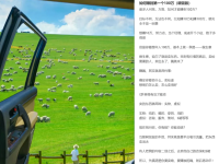 一种新的洗稿玩法：AI 反推洗稿法！