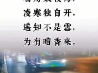 为什么视频号流量只有几十个了？案例分析！