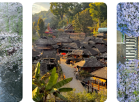 小红书笔记最多可以放几张图片？图片大小多少合适？