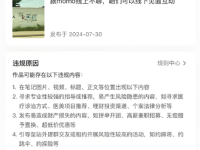 小红书为什么相似的笔记别人发就没事，自己发就违规？